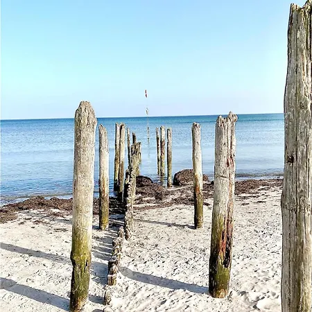 Kranich - Breege, Ruegen