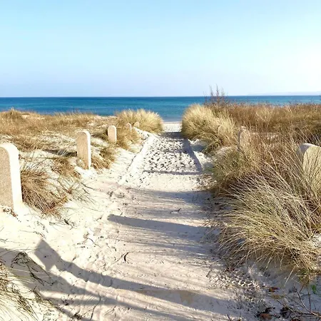 Kranich - Breege, Ruegen *